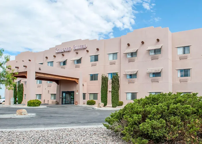 Comfort Suites University